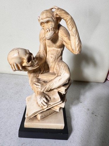 Vintage santini darwin - a.,